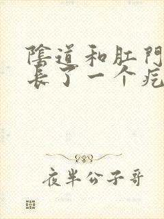 阴道和肛门中间长了一个疙瘩封面