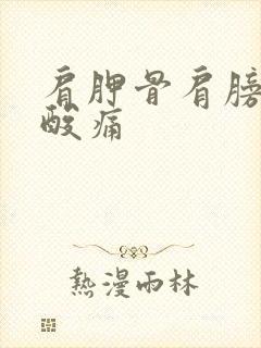 肩胛骨肩膀手臂酸痛封面