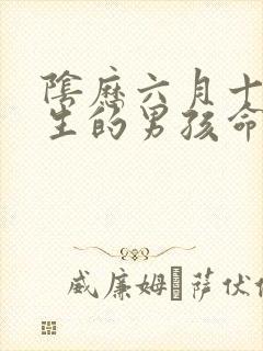 阴历六月十二出生的男孩命运