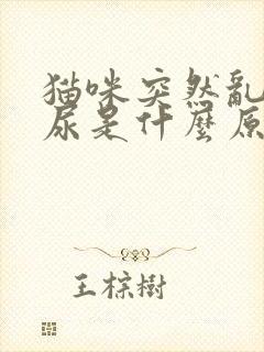 猫咪突然乱拉乱尿是什么原因封面