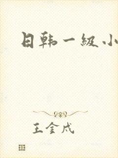 日韩一级小淫片