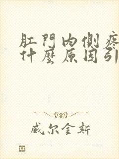 肛门内侧疼痛是什么原因引起的封面