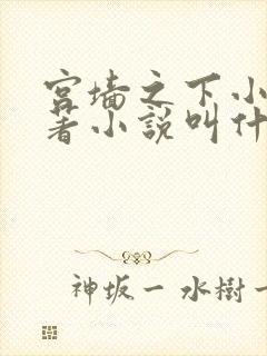 宫墙之下小说原著小说叫什么名字封面