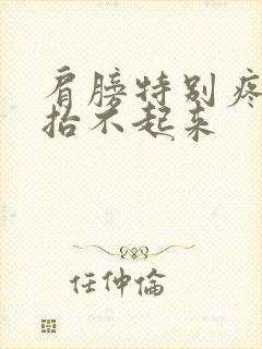 肩膀特别疼胳膊抬不起来