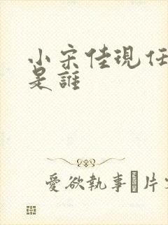 小宋佳现任丈夫是谁