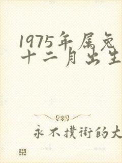 1975年属兔十二月出生命运