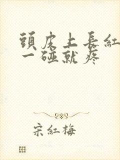 头皮上长红痘痘一碰就疼封面