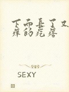 下面长了又疼又痒的疙瘩