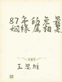 87年的兔最佳姻缘属相是什么
