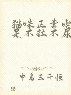 猫咪正常吃喝但是不拉不尿