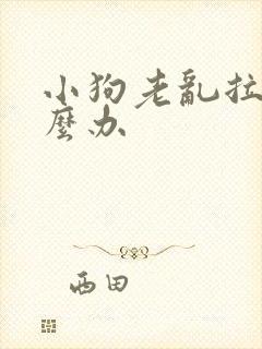 小狗老乱拉尿怎么办