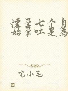 怀孕七个月又开始孕吐是为什么封面