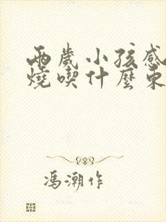 两岁小孩感冒发烧吃什么东西好封面