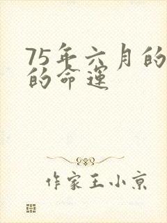 75年六月的兔的命运