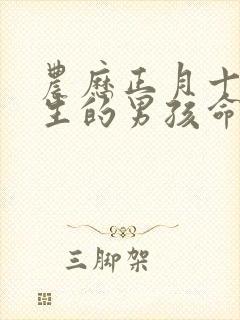 农历正月十三出生的男孩命运