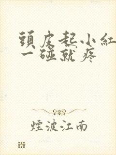 头皮起小红疙瘩一碰就疼