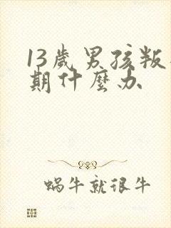 13岁男孩叛逆期什么办封面