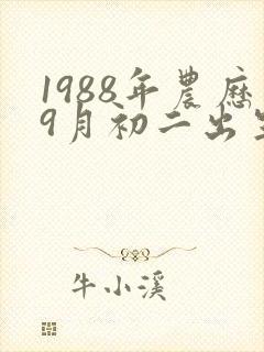 1988年农历9月初二出生命运如何