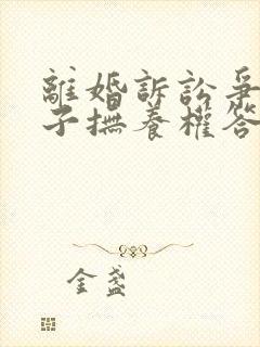 离婚诉讼争取孩子抚养权答辩状封面