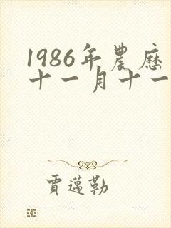 1986年农历十一月十一出生的人命运如何