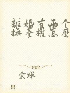 离婚有两个小孩抚养权怎么判定的封面