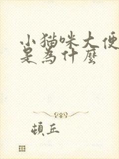 小猫咪大便带血是为什么