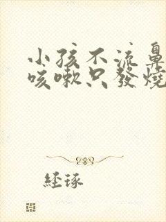 小孩不流鼻涕不咳嗽只发烧怎么回事