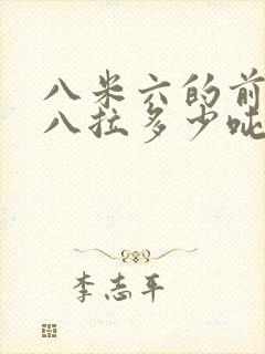 八米六的前四后八拉多少吨封面