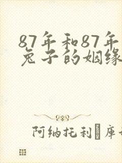 87年和87年兔子的姻缘与财运