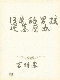 13岁的男孩叛逆怎么办