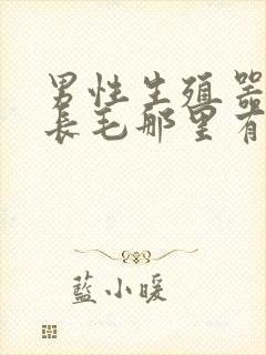 男性生殖器上面长毛那里有个疙瘩