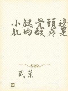 小腿骨头边上的肌肉酸疼是怎么回事