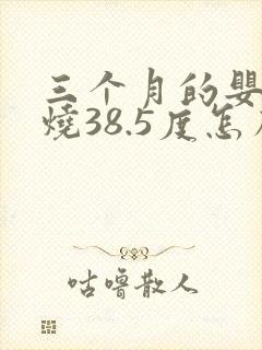 三个月的婴儿发烧38.5度怎么办