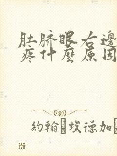 肚脐眼右边周围疼什么原因