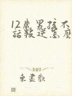 12岁男孩不听话叛逆怎么办封面