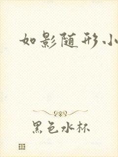 如影随形小说