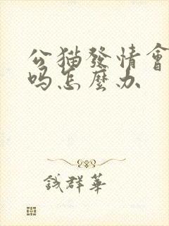 公猫发情会乱尿吗怎么办