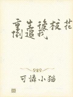 重生后校花疯狂倒追我封面