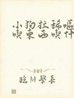 小狗拉稀呕吐不吃东西吃什么药