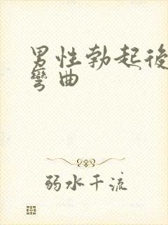 男性勃起后向下弯曲