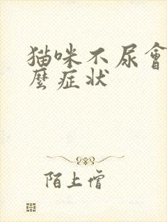 猫咪不尿会有什么症状封面