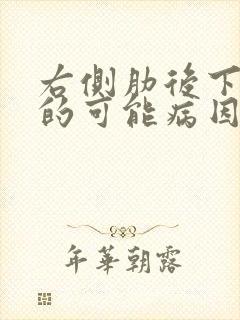 右侧肋后下疼痛的可能病因有哪些封面