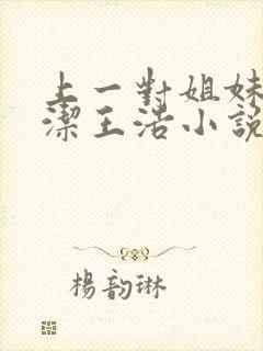 上一对姐妹花李洁王浩小说免费阅读