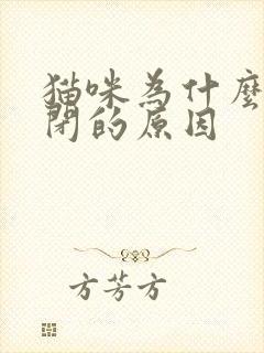 猫咪为什么会尿闭的原因