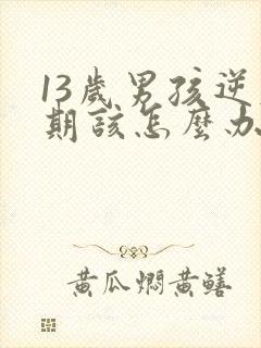 13岁男孩逆反期该怎么办封面