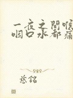 一夜之间喉咙痛咽口水都痛吃什么药封面