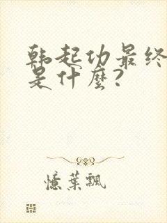 韩起功最终结局是什么?