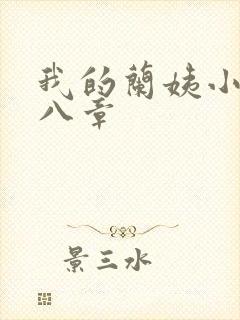 我的兰姨小说第八章封面