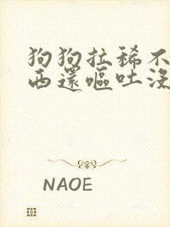 狗狗拉稀不吃东西还呕吐没精神怎么办