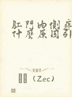 肛门内侧疼痛是什么原因引起的